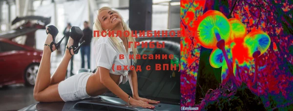 твердый Гусев