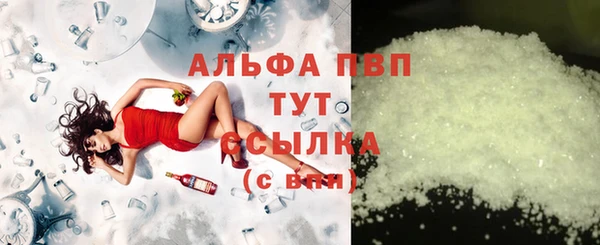 твердый Гусев