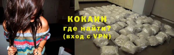 твердый Гусев