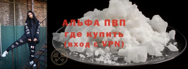 твердый Гусев