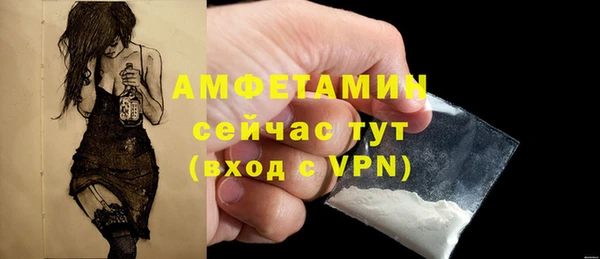 твердый Гусев