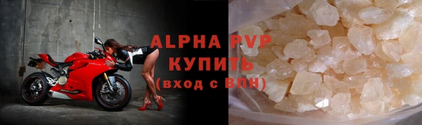 твердый Гусев