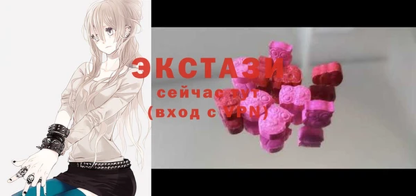 твердый Гусев