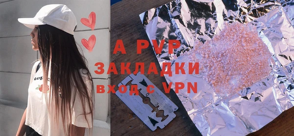 твердый Гусев