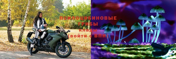 а пвп мука Гусиноозёрск
