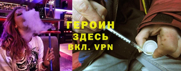 твердый Гусев