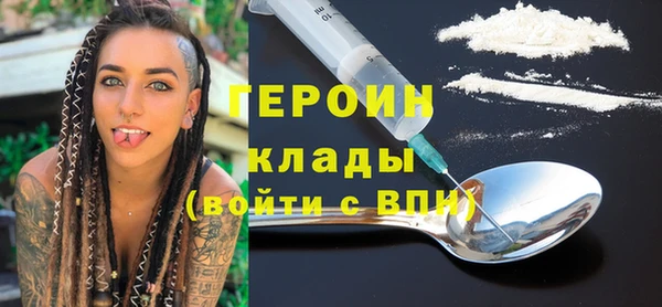 твердый Гусев