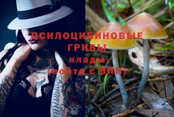 бошки Гусь-Хрустальный