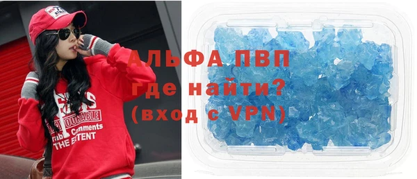 твердый Гусев