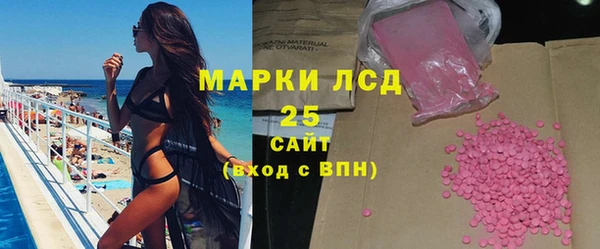 твердый Гусев