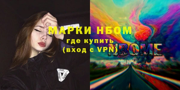 твердый Гусев